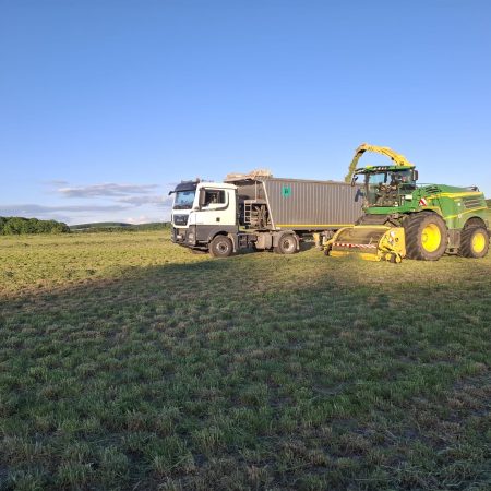 0150dd31-4cf5-455a-ab56-0c3dd862a4ae