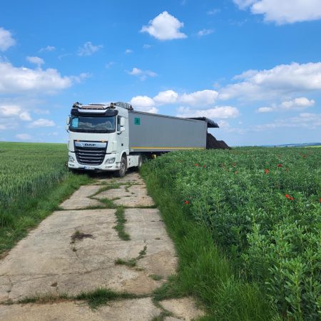 3665e77c-5352-4a3e-9f7f-82b29f8c6a71